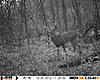 Team 4 Buck Dynasty-hunt0185.jpg