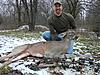 **Returning Champs** BUCK U- Team 3-clays-deer-003.jpg