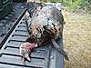 2012 Turkey Contest Bragging Board-100_2212.jpg