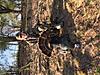 Team 1 Strut Stoppers-img_1396.jpg