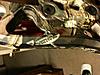 Want to sell Mathews Switchback XT 525TYD Or Best Offer-photo-2-.jpg