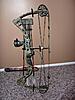 Bowtech Tribute-p1000258-medium-.jpg