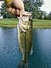 2010 youth fishing contest scoreboard-t-fish-1-14-inch.jpg