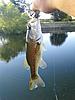 2010 youth fishing contest scoreboard-11-july-1.jpg