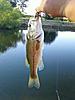 2010 youth fishing contest scoreboard-10-july-1.jpg