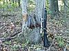 Offical 2011-2012 Squirrel Hunting Contest Sign Up Thread-mail-1-.jpg