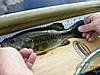 2010 youth fishing contest scoreboard-dscn1280.jpg