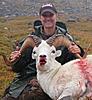 Wife's First Dall Sheep-p8280051-copy.jpg