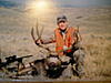 Show us your Mulies!!-picture-011.jpg