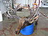 Spider Bull Moose Shot in saskatchewan-040.jpg