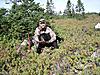 newfoundland caribou and bear-newfoundland-pictures-030.jpg