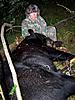 700 lb black bear-101_2675.jpg