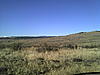 Elk hunting-2011-11-01_09-41-22_40.jpg