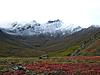 Dall Sheep Hunt Report and Photos-pictures_055.jpg