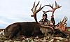 2012 Hunts - Alaska &amp; Montana-2012-40-mile-caribou-hunt-032.jpg
