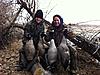 2012 Hunts - Alaska &amp; Montana-yellowstone-geese-dec-2012.jpg