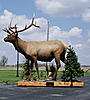 Elk Mount-dsc02006_2.jpg