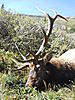 Elk Mount-dscn4131.jpg