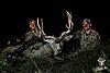 First mulie is a GIANT!-kh-102.jpg