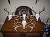 Trophy Rooms / Man Caves-101_0169.jpg