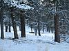 2014 Montana Deer and Elk Hunt-051.jpg