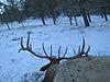 2014 Montana Deer and Elk Hunt-056.jpg