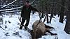 2014 Montana Deer and Elk Hunt-071.jpg