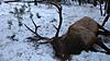 2014 Montana Deer and Elk Hunt-070.jpg