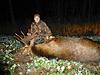 Hunting on Elk in Belarus-08.jpg