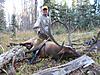 First Elk Hunt !-image.jpg