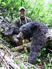 Bear Trail Cam Photos and Judging-jerod-bear-2009-027.jpg