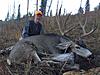 Wyoming mule deer hunt-inbox66265bc282a70049122d803a19e9b651589c7.jpg