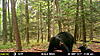 New Jersey Bears This Week-mfdc2617.jpg