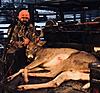 Family Vacation Mule Deer Hunt-13970f13-51ed-44e7-b642-301deb160de0.jpg