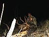 Big Elk down-elk-1.jpg