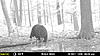 Same Bear?-mfdc9229.jpg