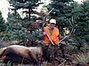 Elk Hunting: Decades of Experience &amp; Wisdom-3.jpg