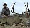 Mexico Mule deer-210.jpg