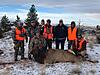 Purple Heart Recipient Hunts in Montana-matt-elk-2018.jpeg