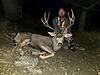 Few Montana mulies....-mule-buck-2.jpeg