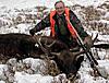 Wyoming Moose Hunt-me-moose.jpg