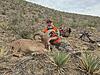 Aoudad Texas-aoudad-res.jpg