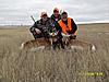 First antelope hunt successful-antelope2.jpg