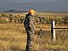 First antelope hunt successful-antelope4.jpg