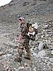 Elk Hunting Backpack Question-09-dall-sheep.jpg