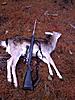 .270 enough... ?-first-deer2.jpg