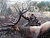 Some Montana Pictures-joes-bull-2009-small.jpg