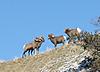 Some Montana Pictures-montana-152-small.jpg