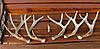 Some Montana Pictures-deer-sheds-1-15-09-small.jpg