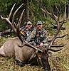 someone post a huge elk or moose-images.jpg